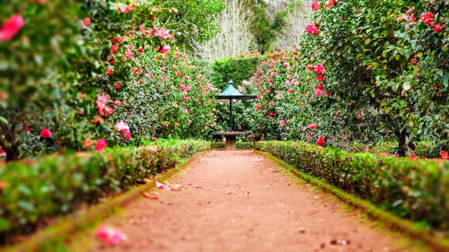 Mantenimiento de zonas verdes y jardines en Villavicencio Meta