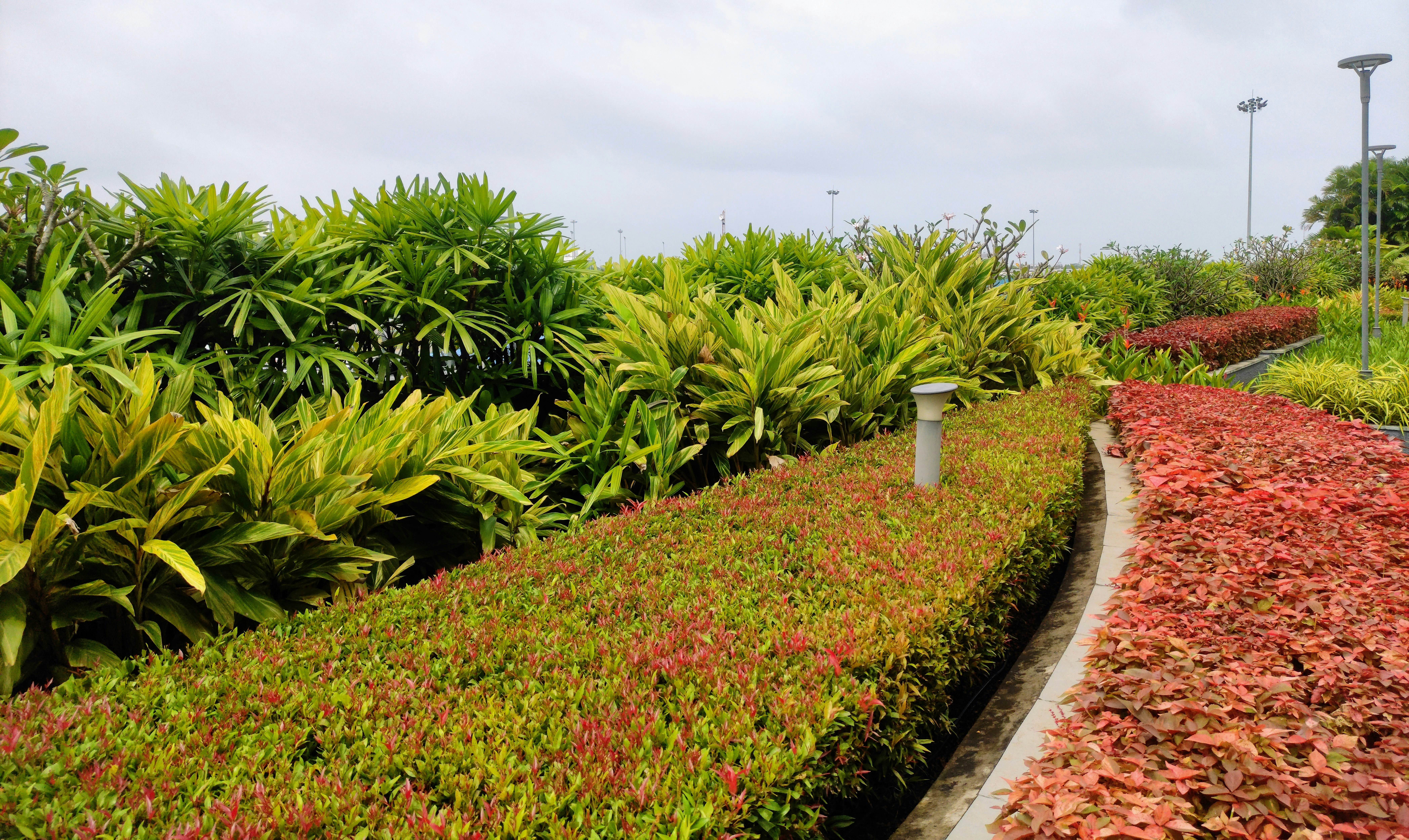 Jardín y zonas verdes mantenidas en Villavicencio Meta